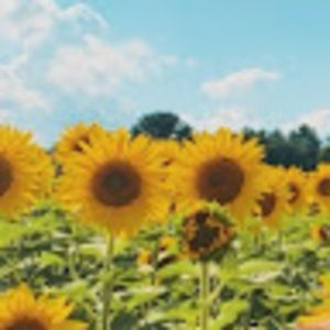 Meet your Posher, Jadalyn